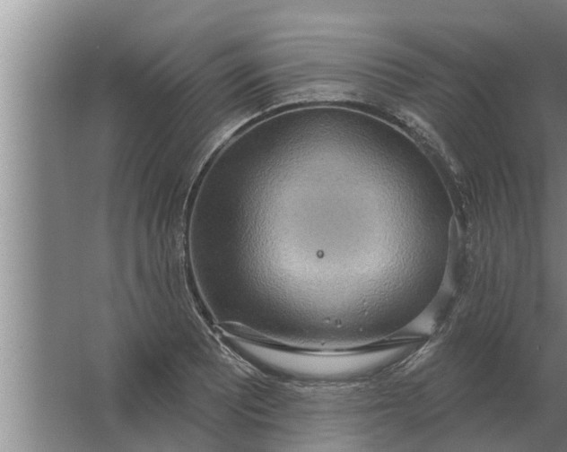 X0000063511081200602032037