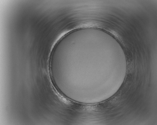 X0000063511086200602032037