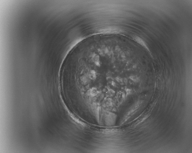 X0000063511087200602032037