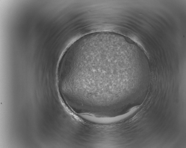 X0000063511088200602032037