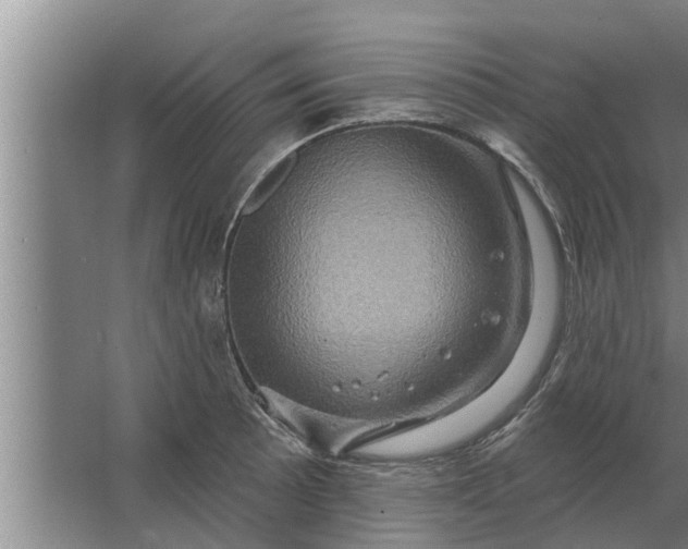 X0000063511089200602032037