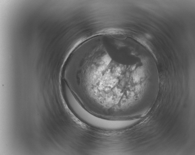 X0000063511091200602032037