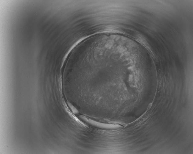 X0000063511092200602032037