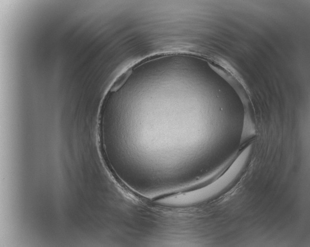 X0000063511093200602032037