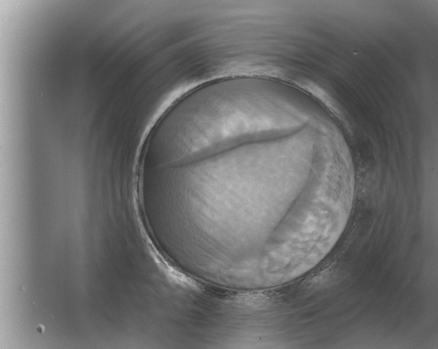 X0000063511094200602032037