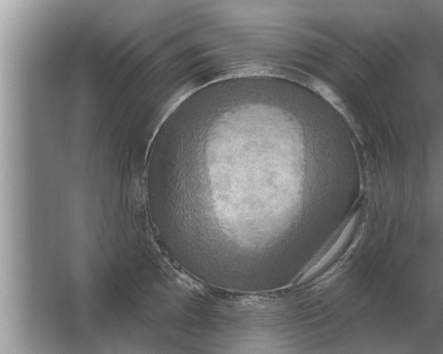 X0000063511097200602032037