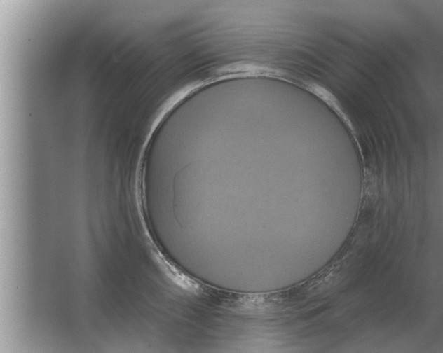 X0000063511098200602032037