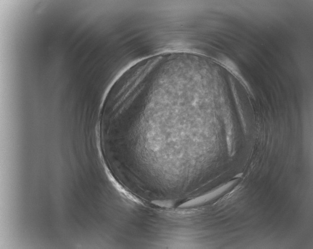 X0000063511100200602032037