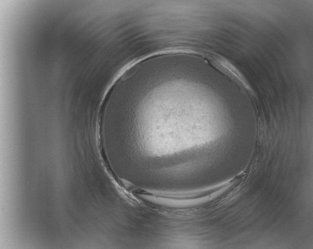 X0000063511101200602032037