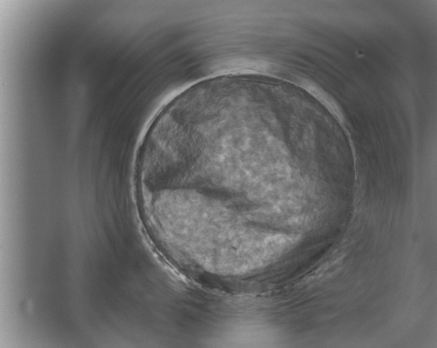 X0000063511104200602032037