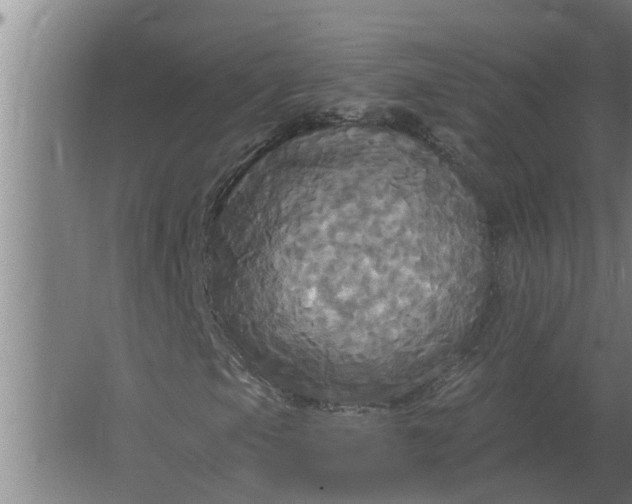 X0000063511105200602032036