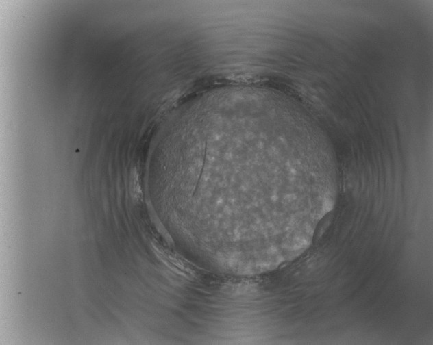 X0000063511106200602032036