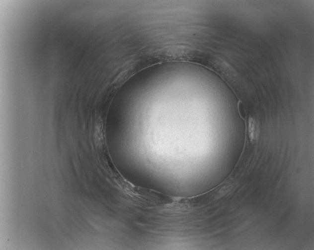 X0000063511107200602032036