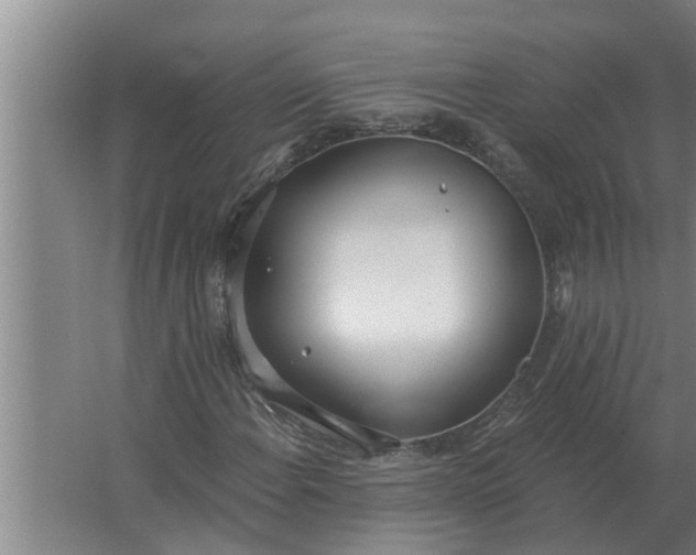 X0000063511108200602032036