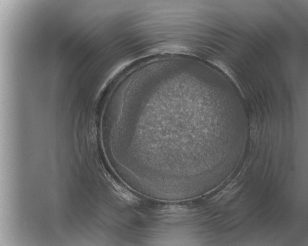 X0000063511115200602032036