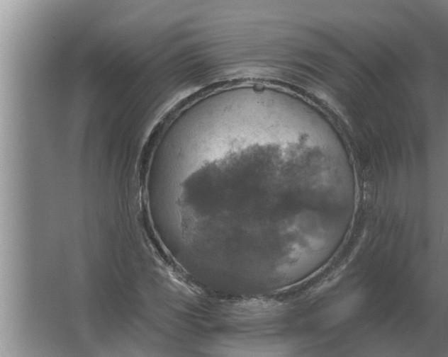 X0000063511117200602032036