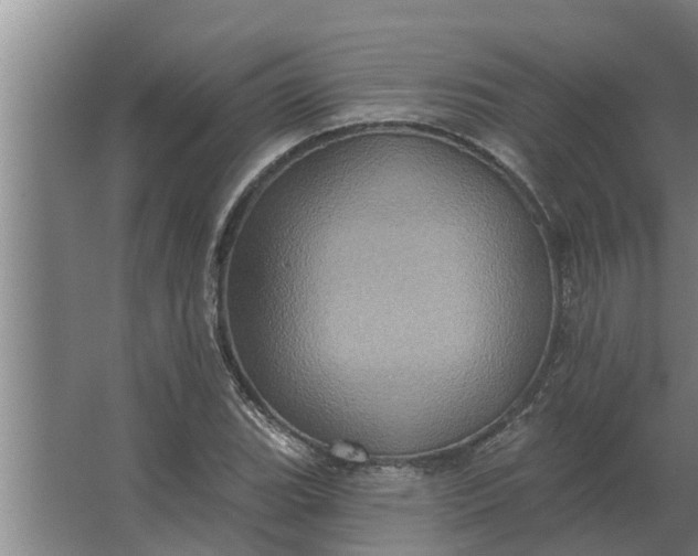 X0000063511119200602032036