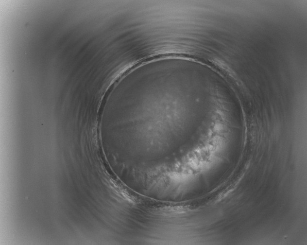 X0000063511121200602032036