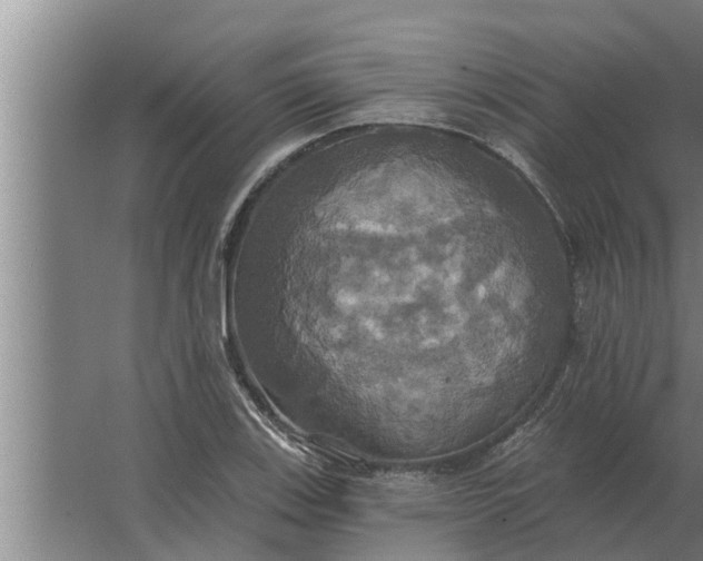 X0000063511123200602032036