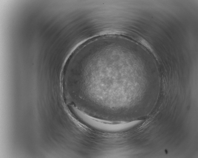 X0000063511124200602032036