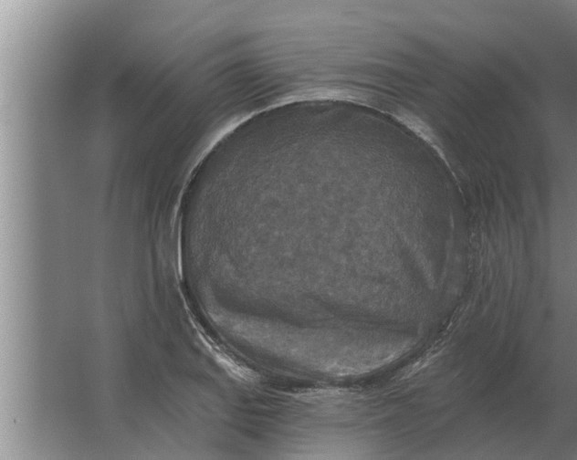 X0000063511127200602032036