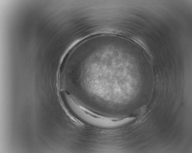 X0000063511128200602032036