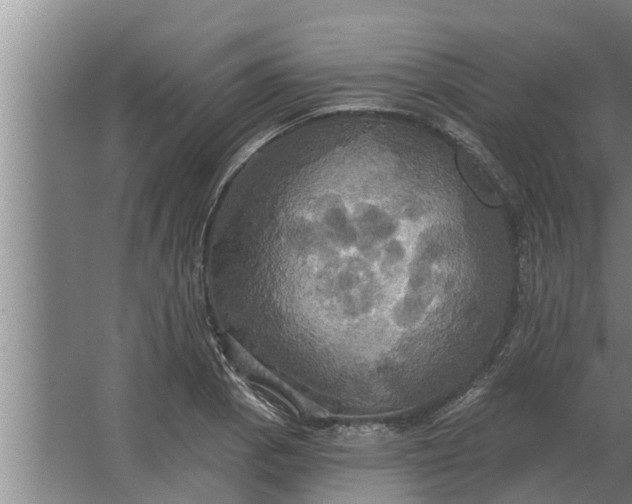 X0000063511129200602032036