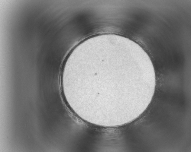 X0000063511130200602032036