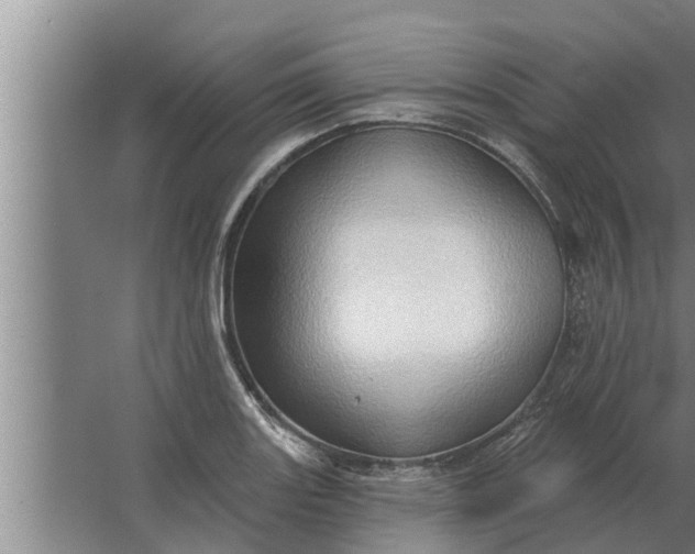 X0000063511131200602032036