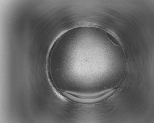 X0000063511136200602032036