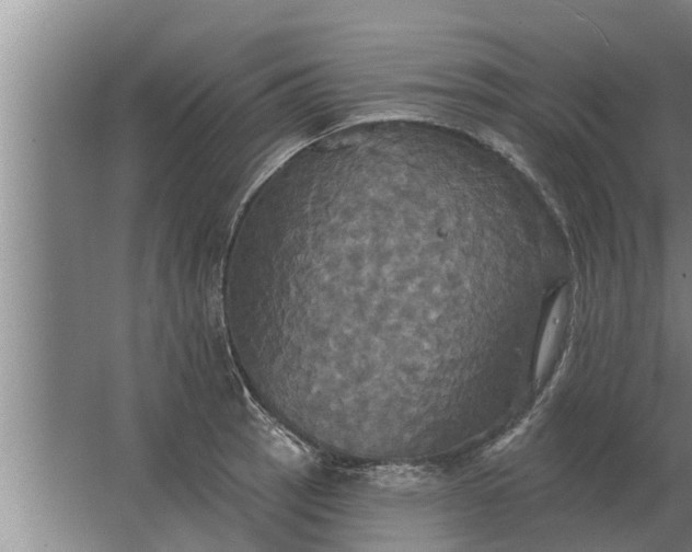 X0000063511137200602032036