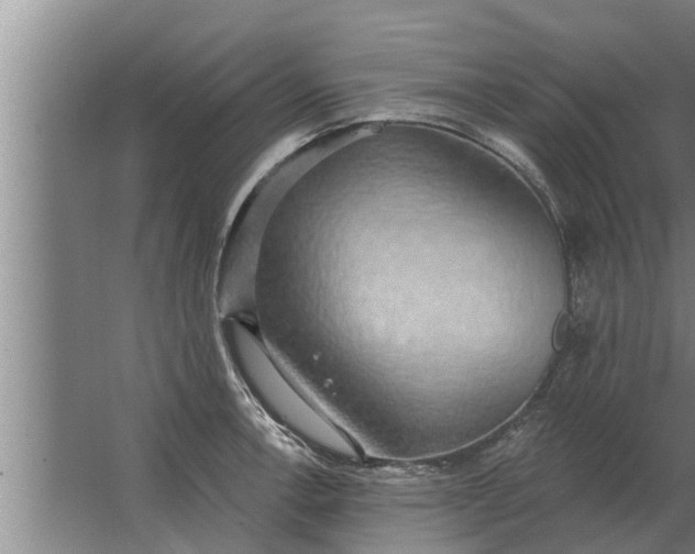 X0000063511138200602032036