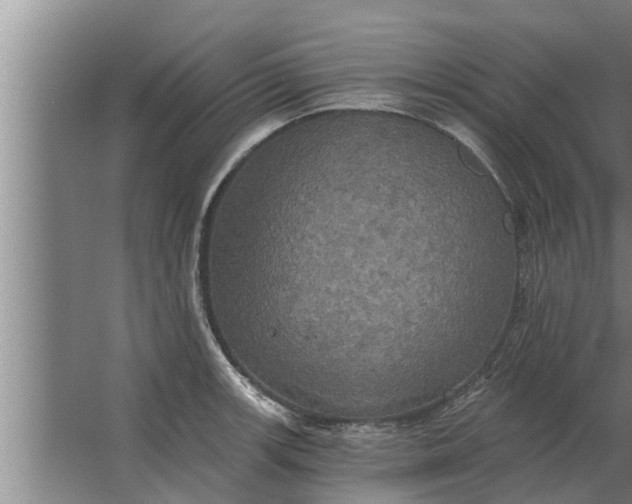 X0000063511139200602032036