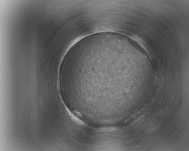 X0000063511143200602032037