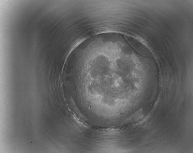 X0000063511145200602032037