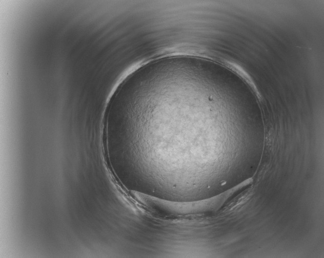 X0000063511146200602032037