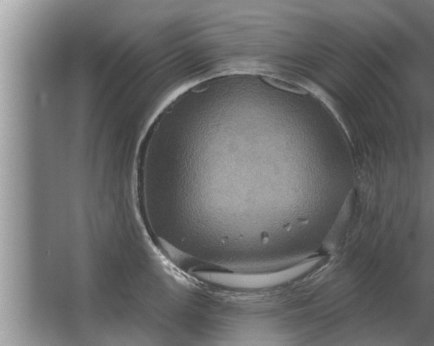 X0000063511147200602032037