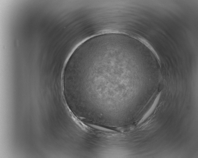 X0000063511148200602032037