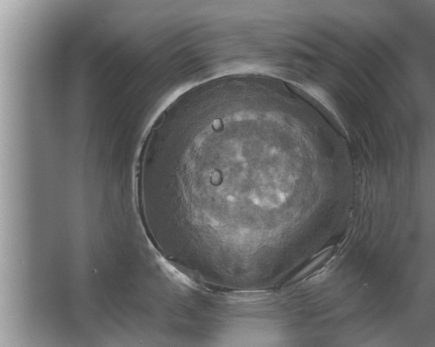 X0000063511151200602032037