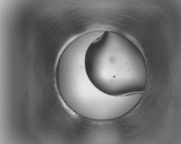 X0000063511152200602032037