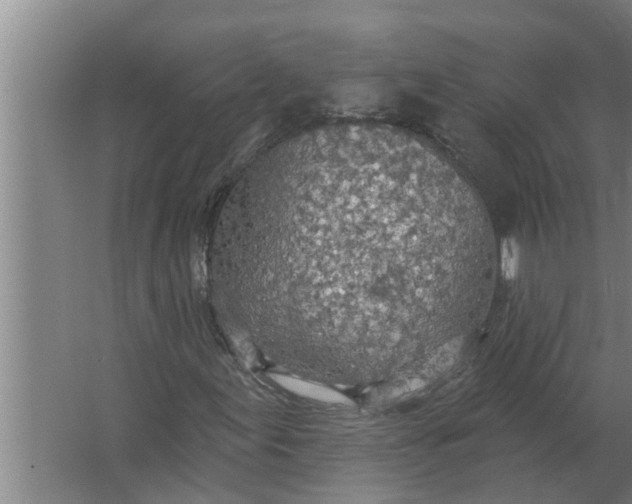 X0000063511155200602032036