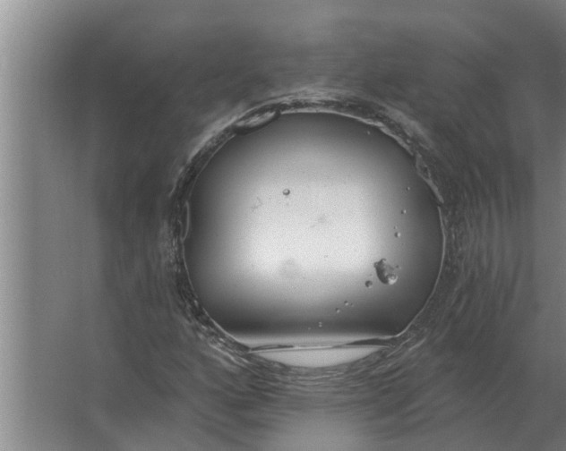 X0000063511160200602032036