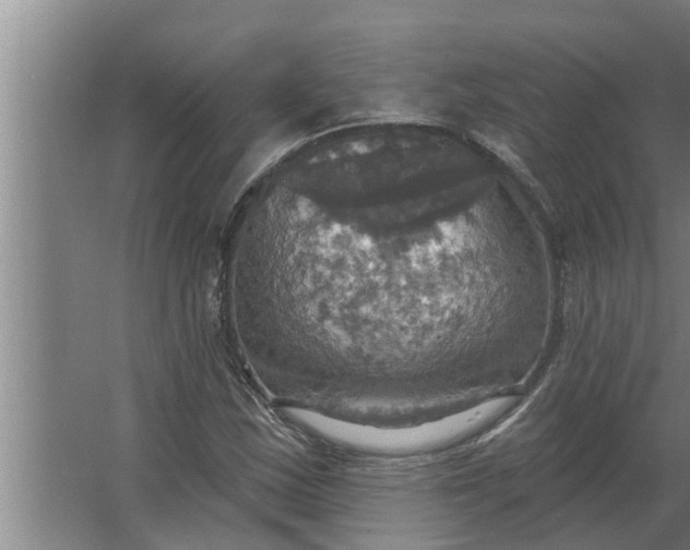 X0000063511163200602032036