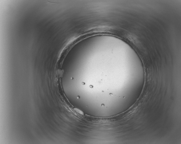 X0000063511164200602032036