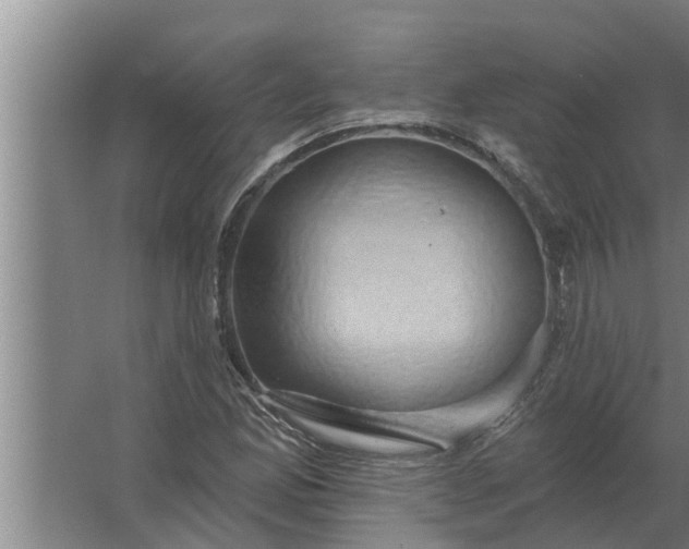 X0000063511165200602032036