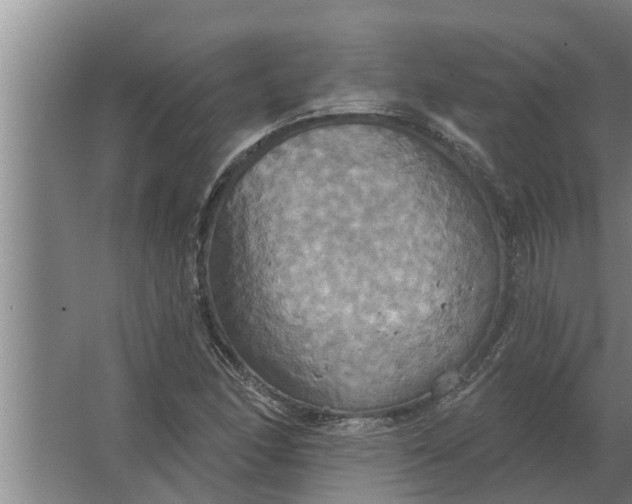 X0000063511166200602032036