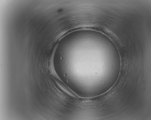 X0000063511169200602032036