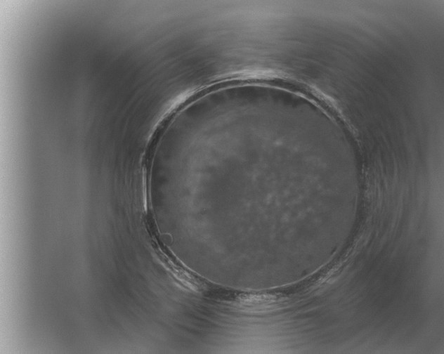 X0000063511171200602032036