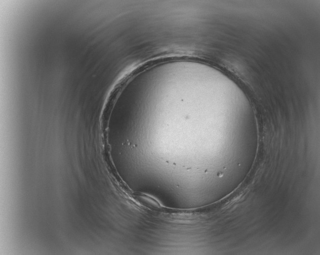 X0000063511172200602032036