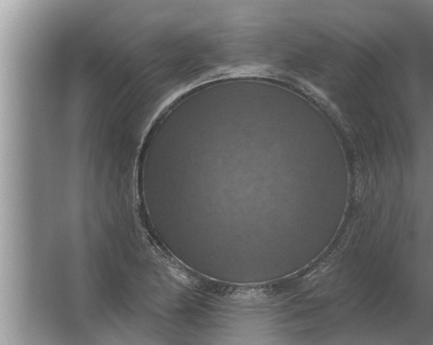 X0000063511174200602032036